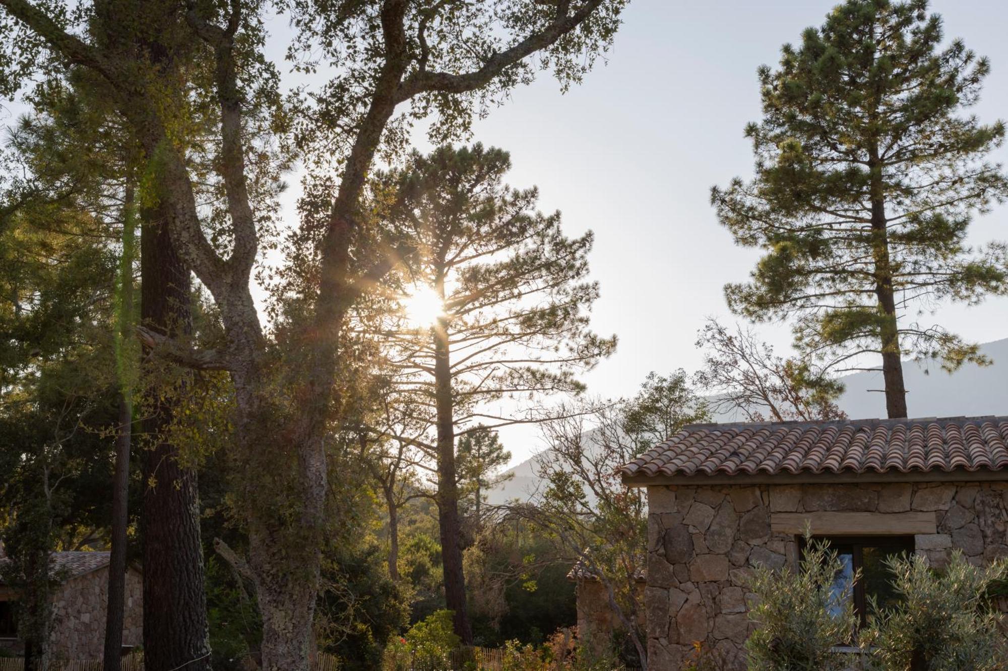 Hotel Hameau De Petripini Sotta Exteriér fotografie